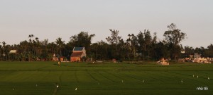 19.Co_doi_chieu_ve