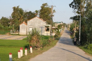 7.Be_tong_hoa_duong_lang
