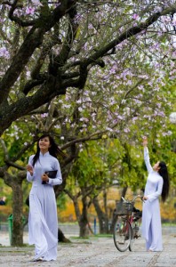 aodaiflowers Girls in ao dai picking white blossoms.